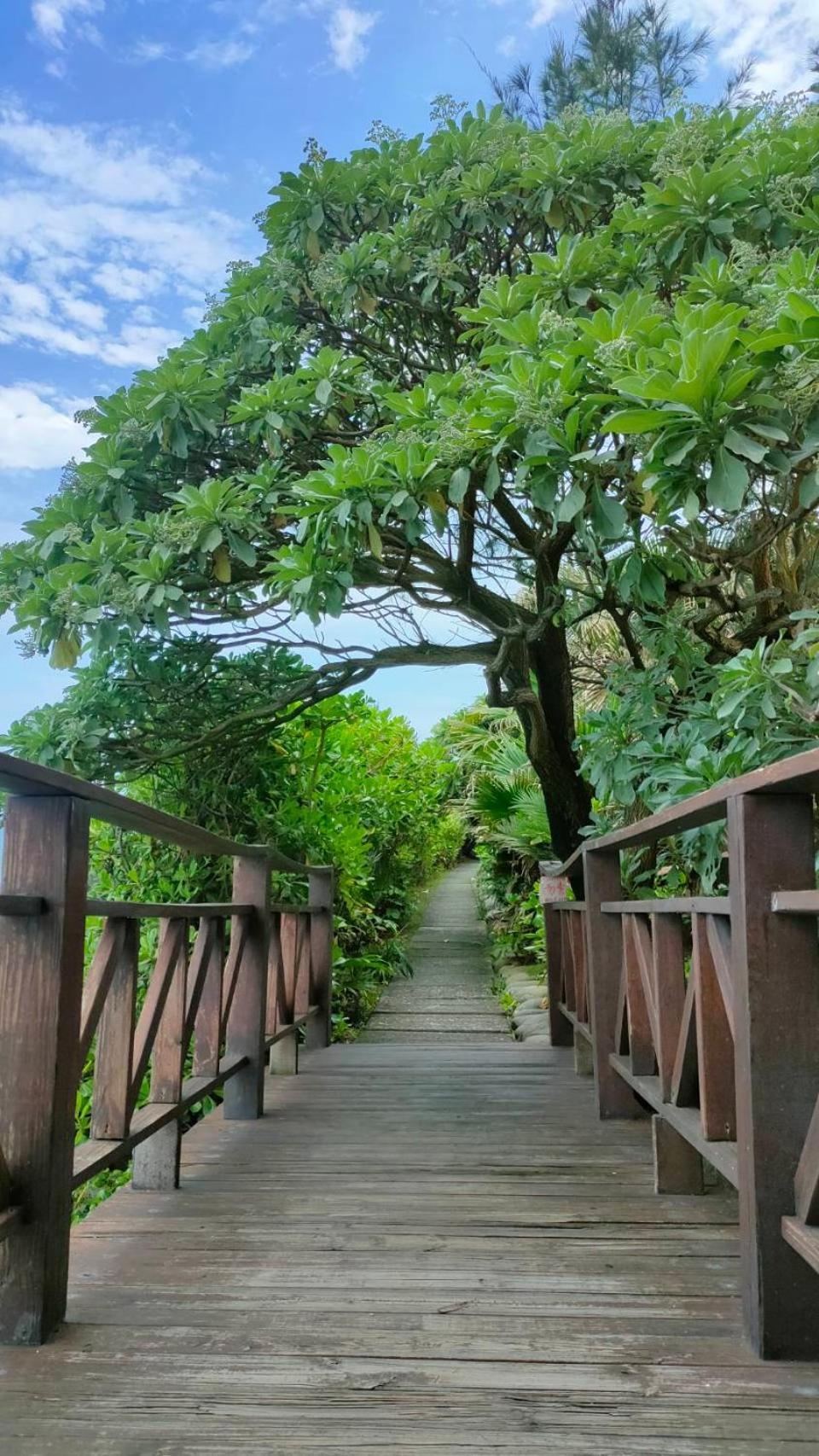 Come And Go Seaside B&B 丰滨 外观 照片
